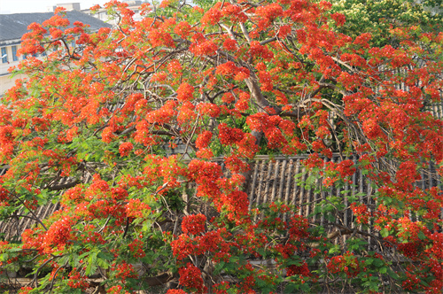 DSC_3549.jpg